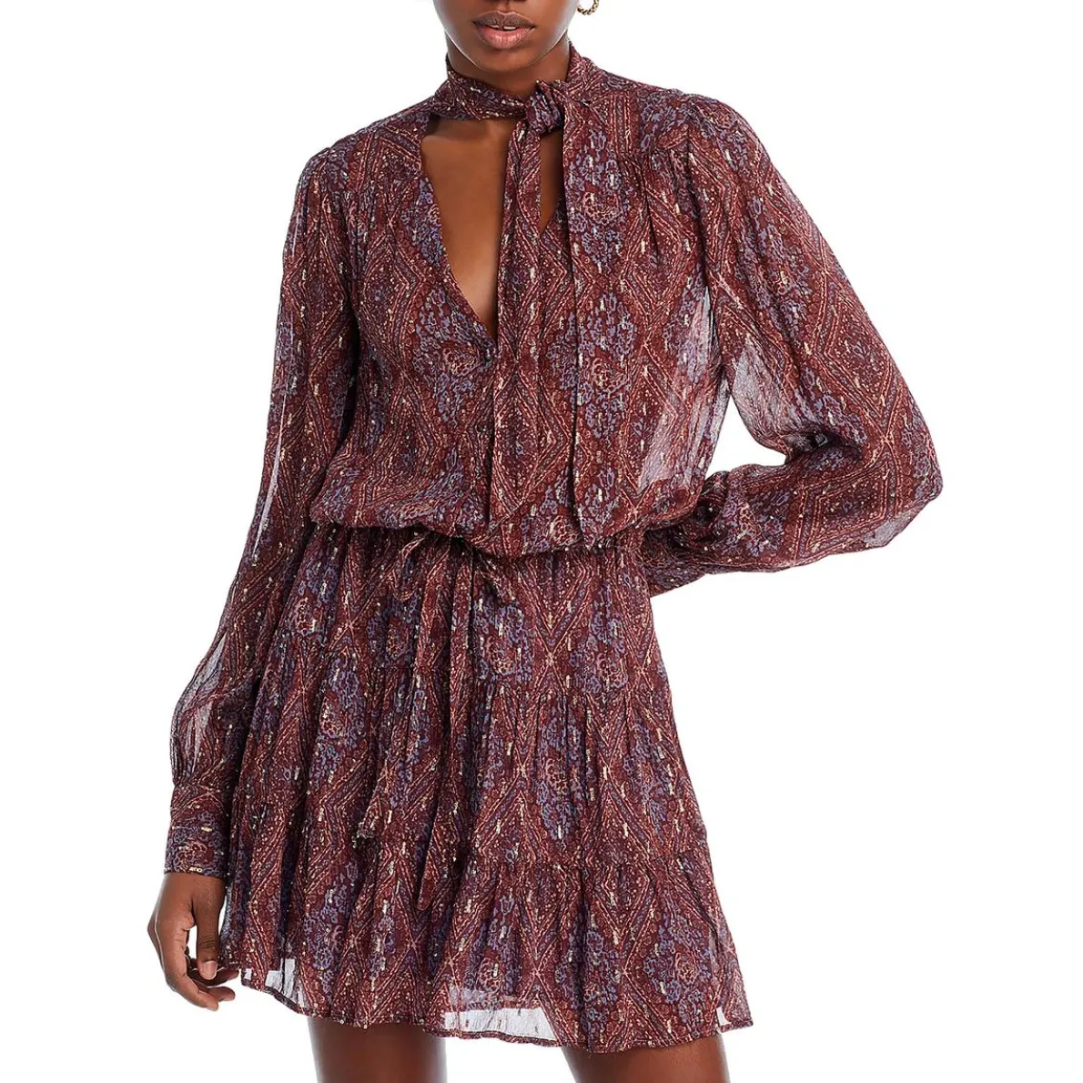 Cleobelle Chiffon Metallic Mini Dress