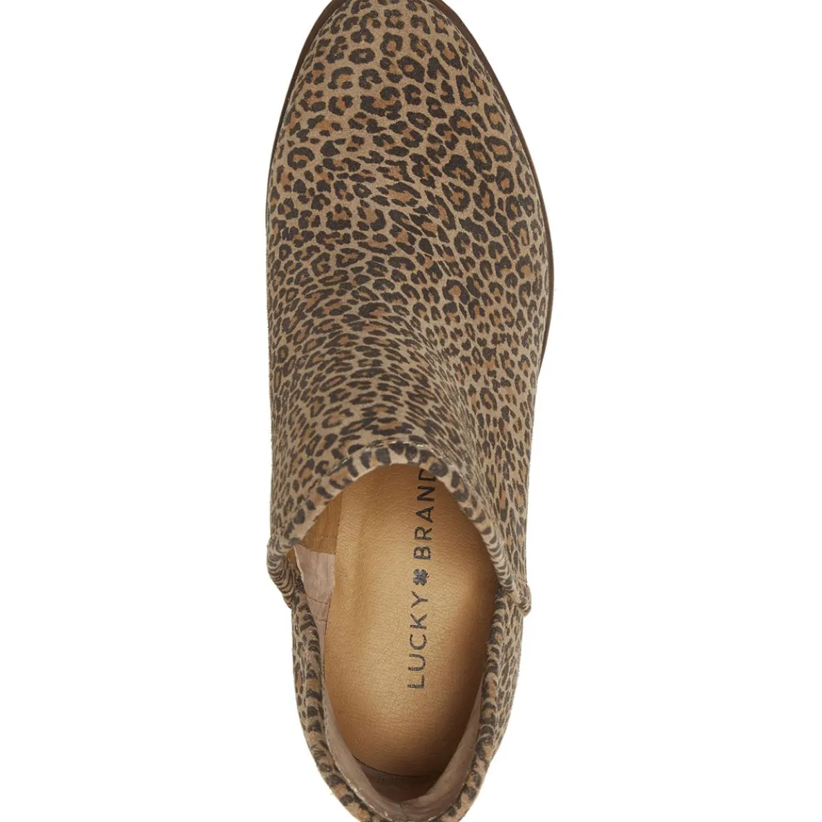 Baley Leather Snake Print Stacked Heel Ankle Bootie