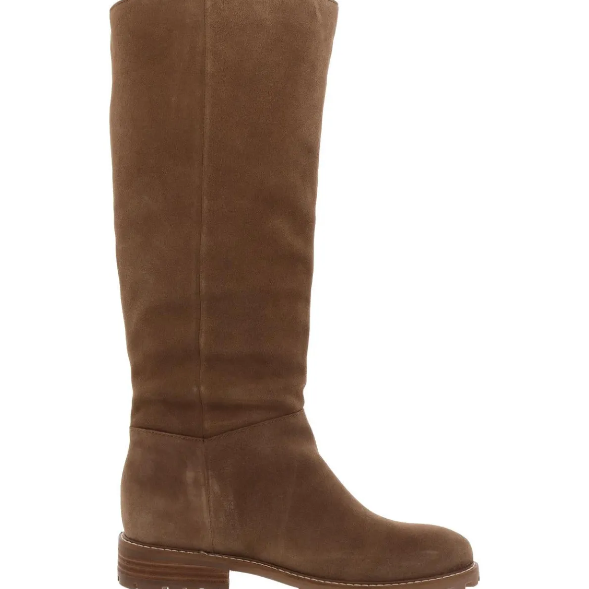 Leary Suede Tall Knee-High Boots