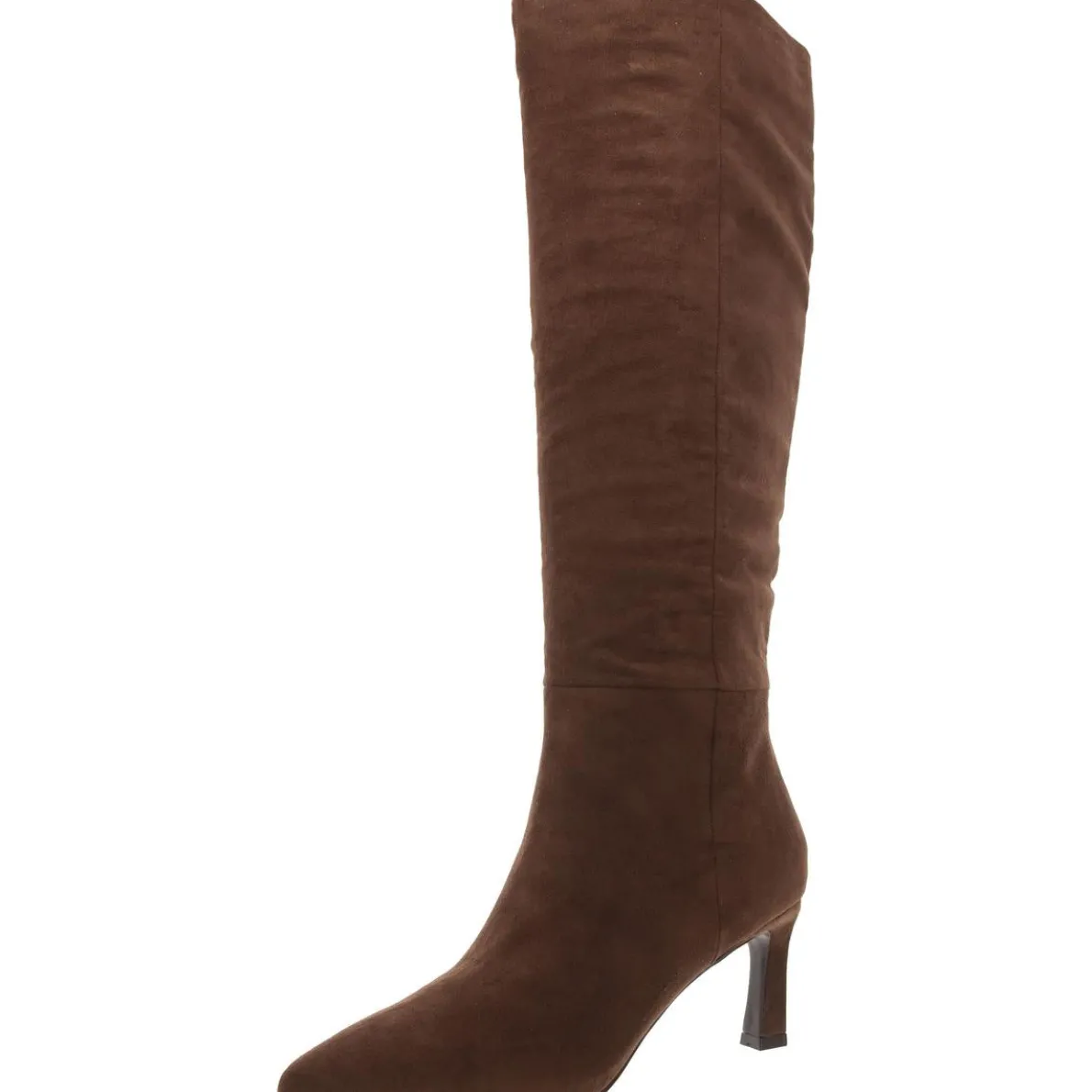 Rene Pointed Toe Tall Knee-High Boots
